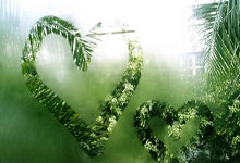 利兹联收获关键胜利，保级压力减轻