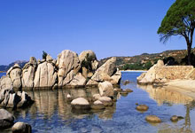 利兹联收获关键胜利，保级压力减轻