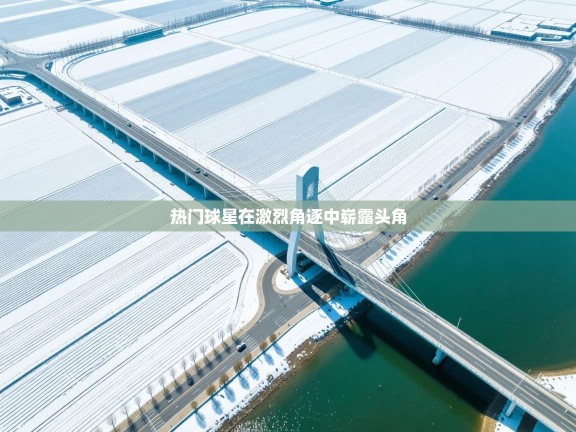 热门球星在激烈角逐中崭露头角  第1张