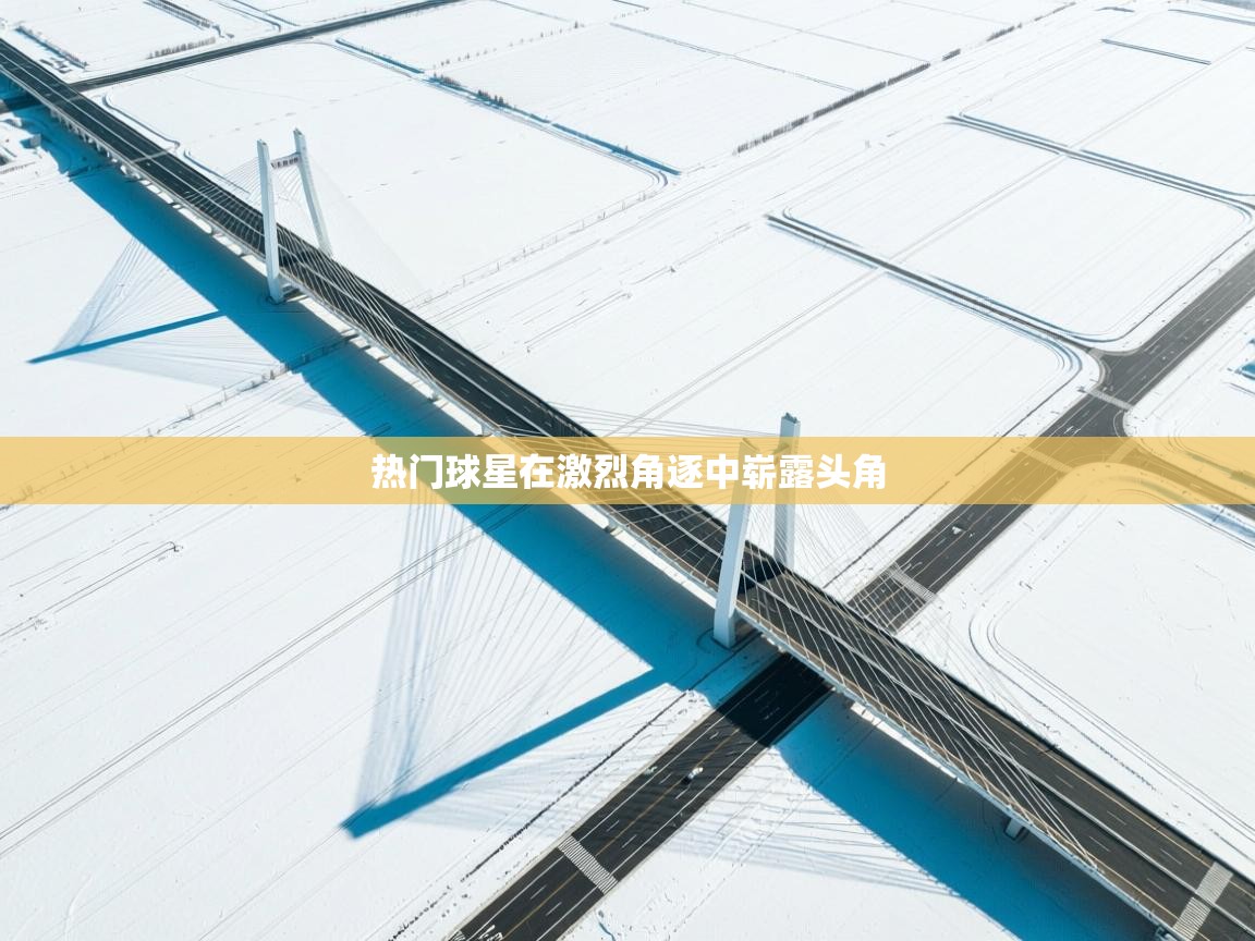 热门球星在激烈角逐中崭露头角  第2张